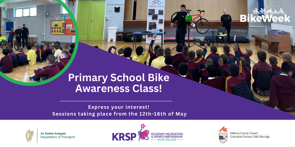 Primary School Bike Awareness Class