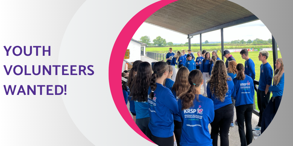 Youth Volunteers wanted poster